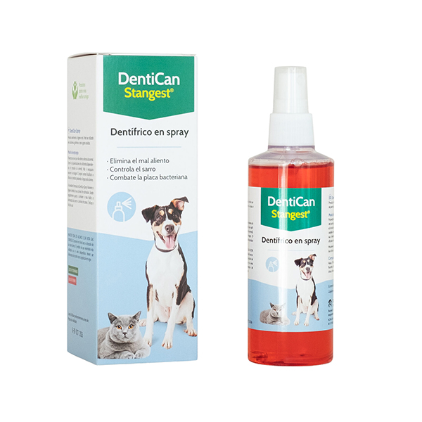 DENTICAN SPRAY 125 ml (Stangest)