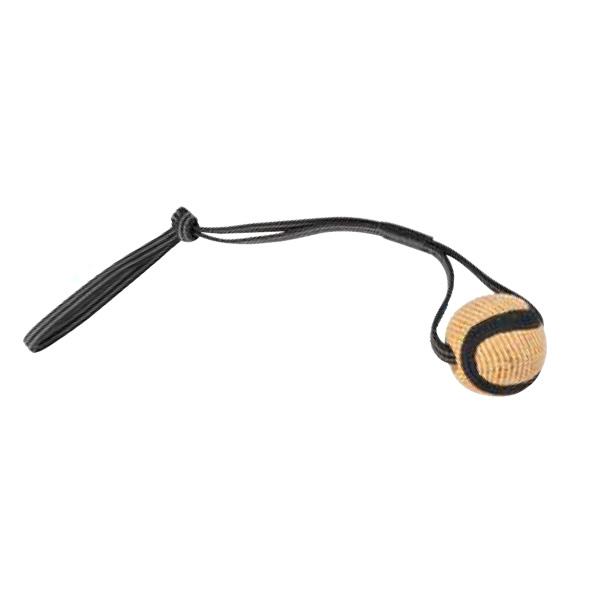 CAMON PELOTA YUTA MANGO 70CM A806/P