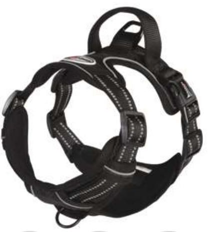 CAMON ARNES TECNICA NEGRO T-M DC352/03