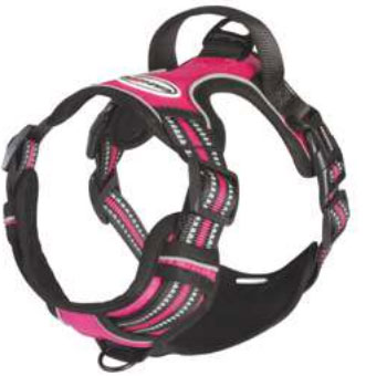 CAMON ARNES TECNICA FUCSIA T-L DC353/06