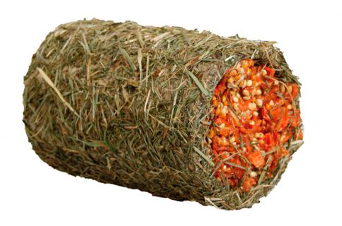 KARLIE TUNEL ROEDOR ZANAHORIA 200692